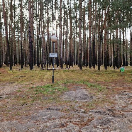 Lesny Zakatek Nr 2 Apartment Radzyn Bagian luar foto