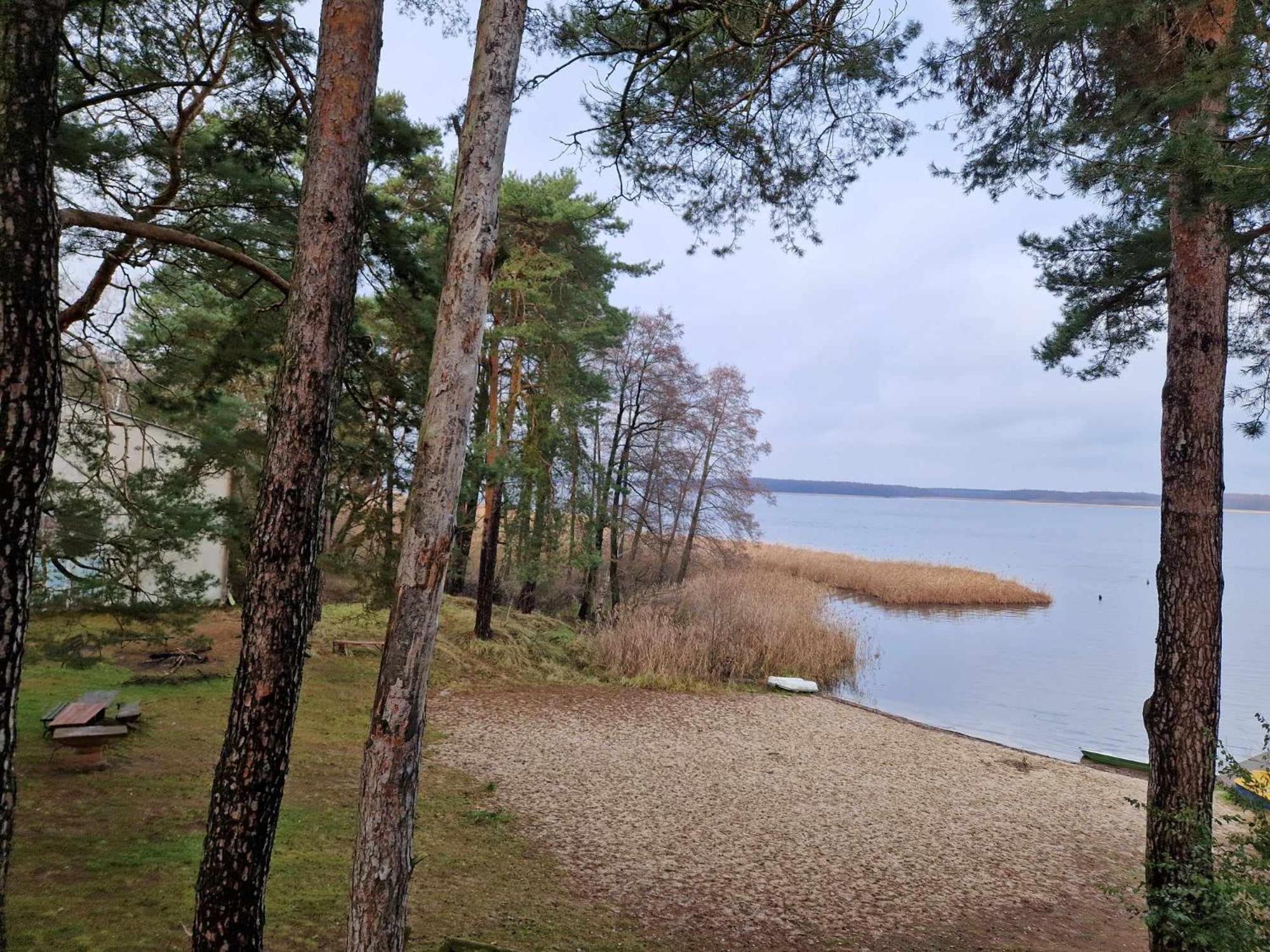 Lesny Zakatek Nr 2 Apartment Radzyn Bagian luar foto