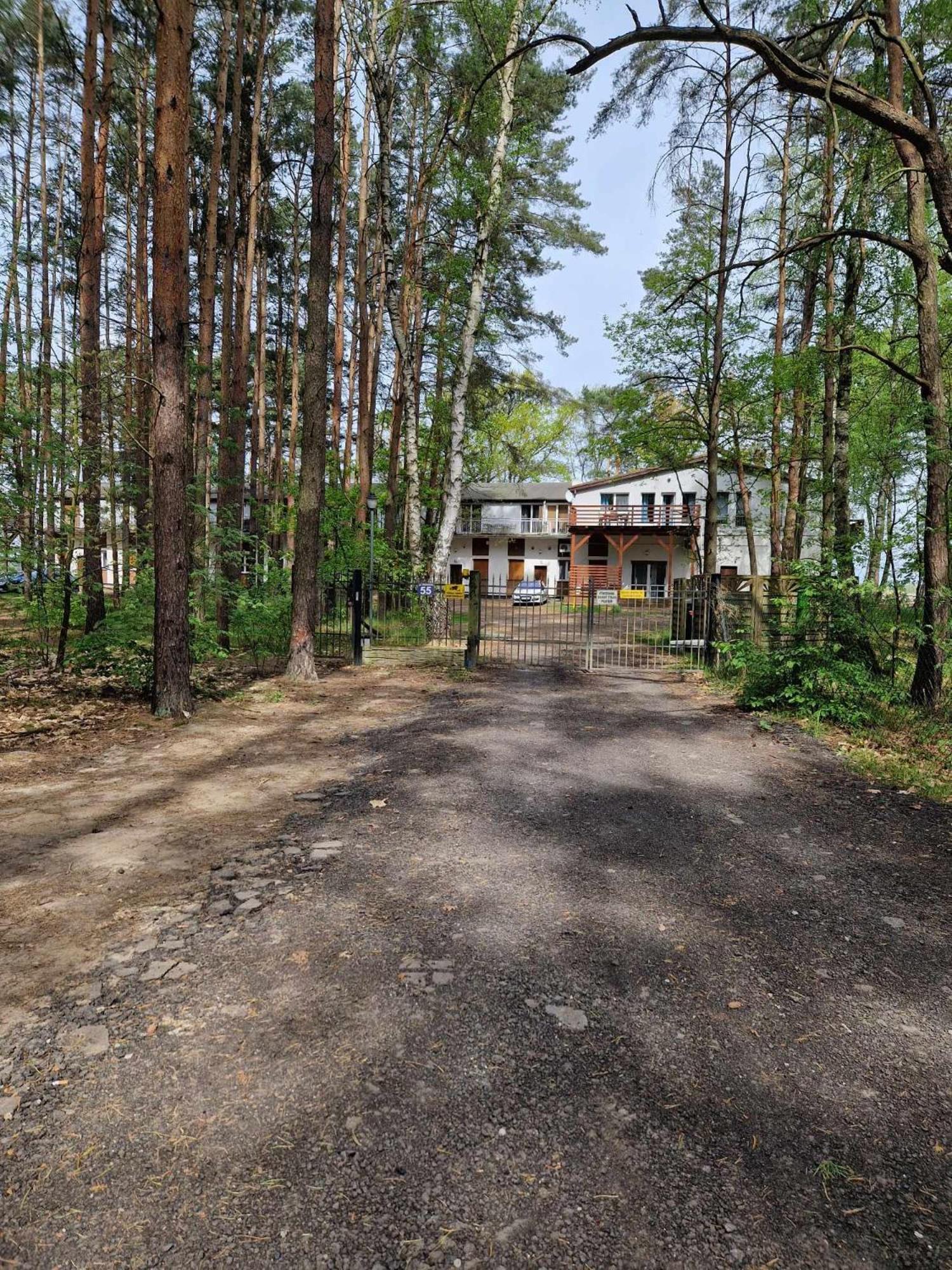Lesny Zakatek Nr 2 Apartment Radzyn Bagian luar foto